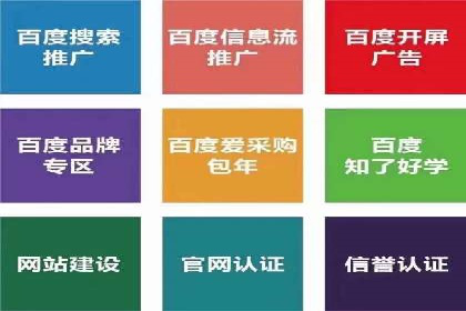竞价托管实战案例：优化广告预算分配